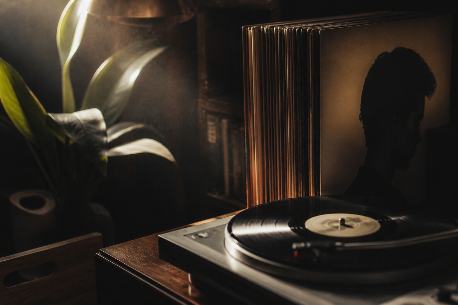 Os 7 Melhores Discos de MPB para Começar sua Coleção de Vinil